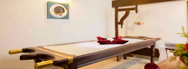 948/The Windflower Resorts & Spa Prakruthi - Bengaluru 10.jpg